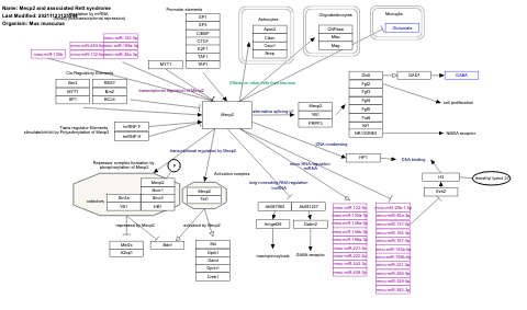 Mecp2 and associated Rett syndrome