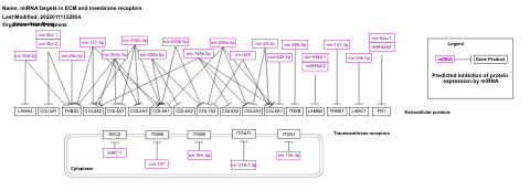 miRNA targets in ECM and membrane receptors