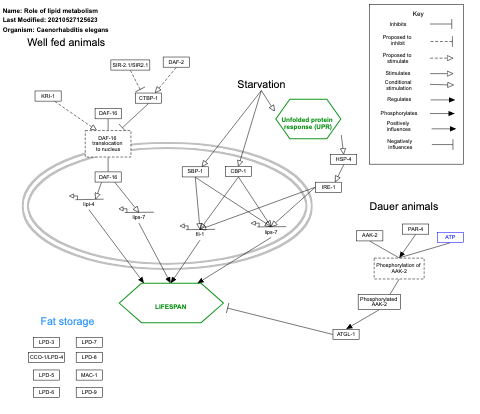 Role of lipid metabolism