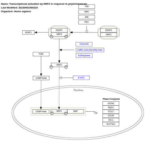Transcriptional activation by NRF2 in response to phytochemicals