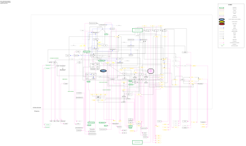 Vitamin B12 metabolism