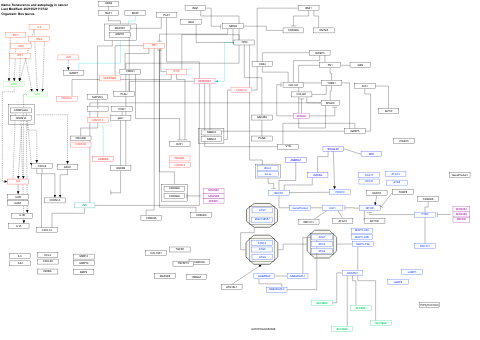 Senescence and autophagy in cancer