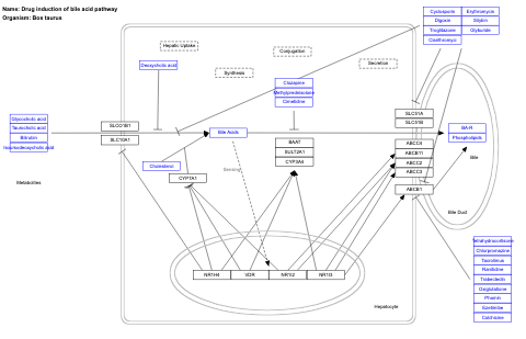 Drug induction of bile acid pathway