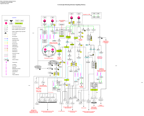 Corticotropin-releasing hormone