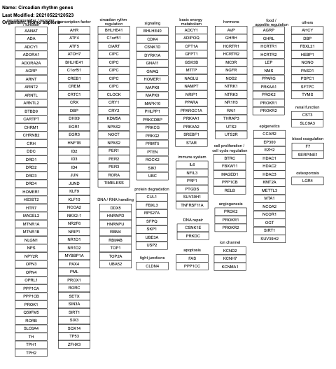Circadian rhythm genes