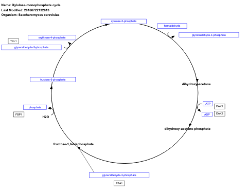 Xylulose-monophosphate cycle