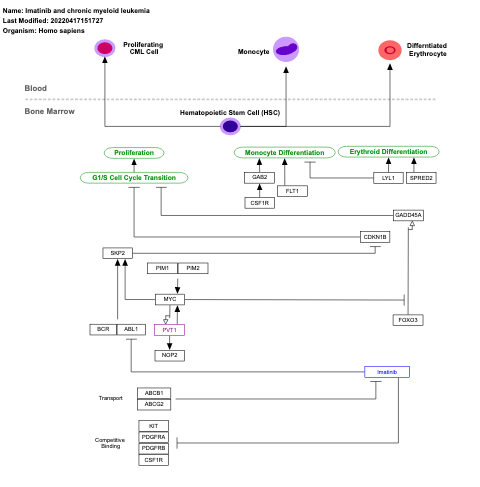 Imatinib and chronic myeloid leukemia