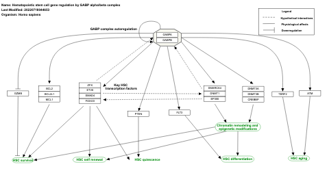 Hematopoietic stem cell gene regulation by GABP alpha/beta complex