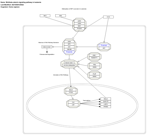 Wnt/beta-catenin signaling pathway in leukemia