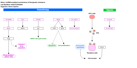 lncRNA-mediated mechanisms of therapeutic resistance