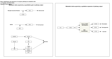 Amplification and expansion of oncogenic pathways as metastatic traits