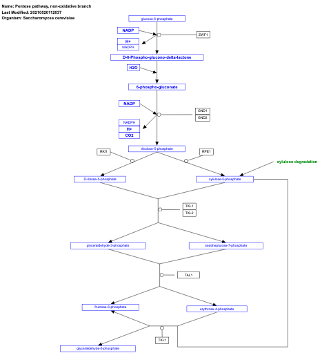 Pentose pathway, non-oxidative branch
