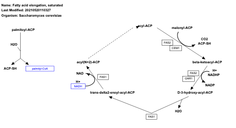 Fatty acid elongation, saturated