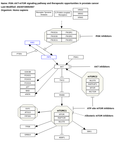 PI3K-AKT-mTOR signaling pathway and therapeutic opportunities in prostate cancer