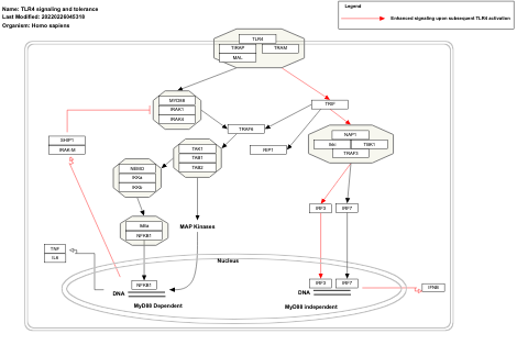 TLR4 signaling and tolerance