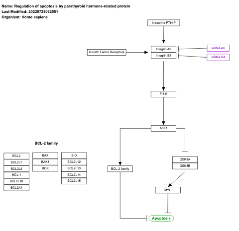 Regulation of apoptosis by parathyroid hormone-related protein