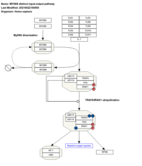MYD88 distinct input-output pathway