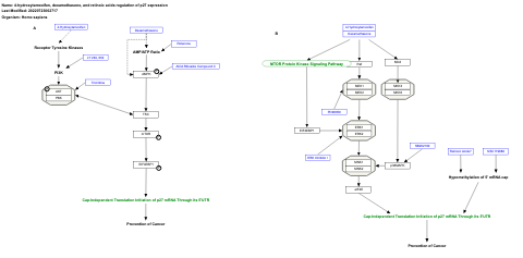 4-hydroxytamoxifen, dexamethasone, and retinoic acids regulation of p27 expression