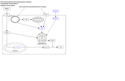 Nanomaterial-induced inflammasome activation