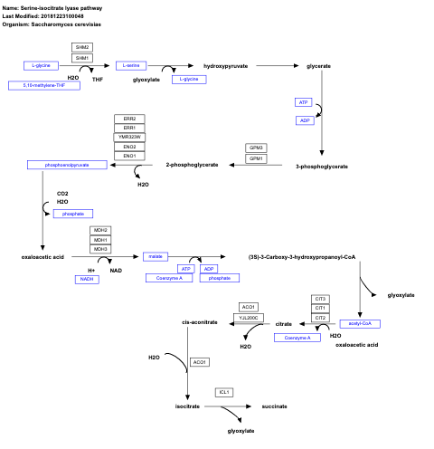 Serine-isocitrate lyase pathway