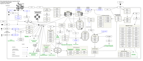 Angiopoietin-like protein 8 regulatory pathway