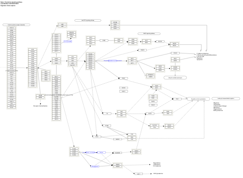 Chemokine signaling pathway