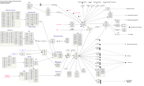 Focal adhesion: PI3K-Akt-mTOR-signaling pathway