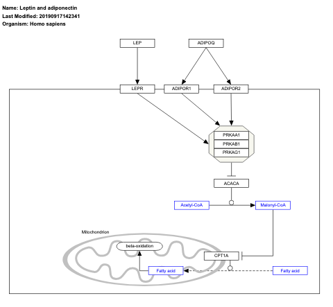 Leptin and adiponectin