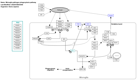 Microglia pathogen phagocytosis pathway