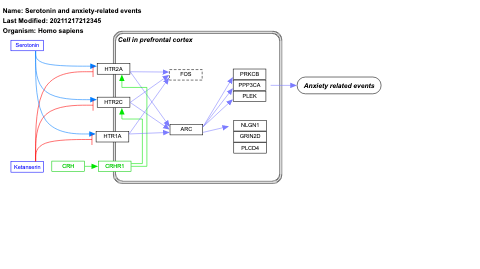Serotonin and anxiety-related events
