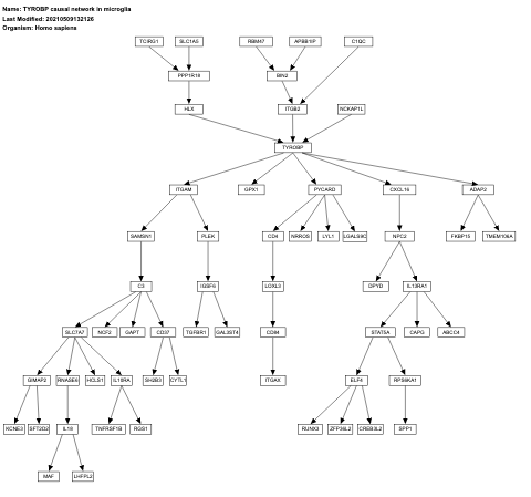 TYROBP causal network in microglia
