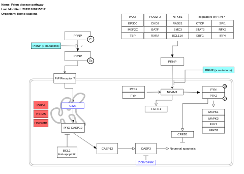 Prion disease pathway