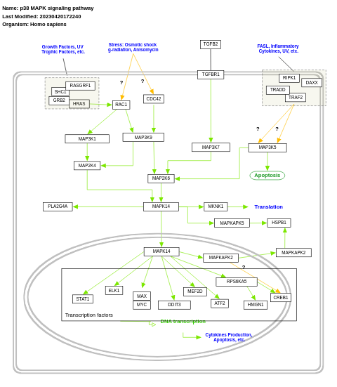 p38 MAPK signaling pathway