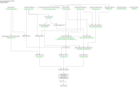 Liver steatosis adverse outcome pathway