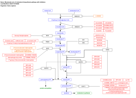 Mevalonate arm of cholesterol biosynthesis pathway with inhibitors