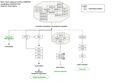 Tumor suppressor activity of SMARCB1