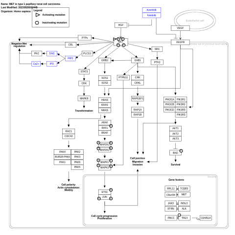 MET in type 1 papillary renal cell carcinoma