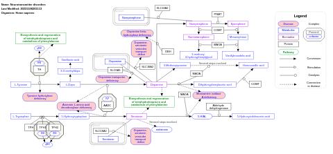 Neurotransmitter disorders