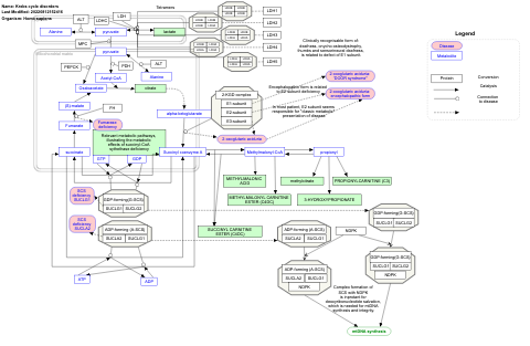 Krebs cycle disorders