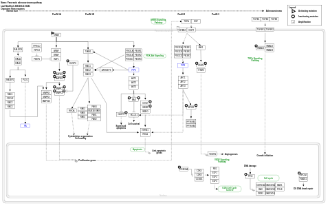 Pancreatic adenocarcinoma pathway