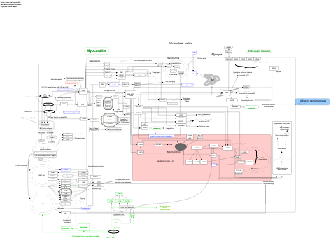 Acute viral myocarditis