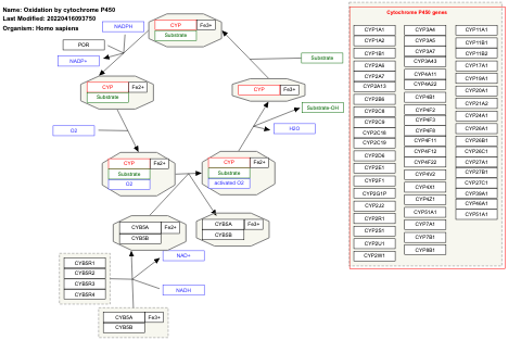 Oxidation by cytochrome P450