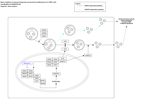 Inhibition of exosome biogenesis and secretion by Manumycin A in CRPC cells