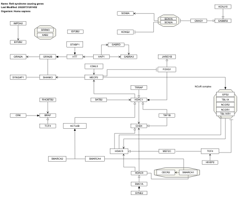 Rett syndrome causing genes