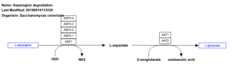 Asparagine degradation