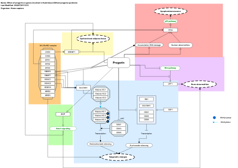 Effect of progerin on genes involved in Hutchinson-Gilford progeria syndrome