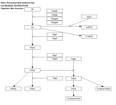 Eicosanoid lipid synthesis map