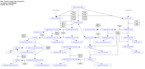 Omega-3 / omega-6 fatty acid synthesis