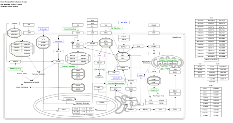 Nonalcoholic fatty liver disease