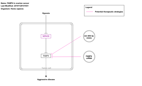 FABP4 in ovarian cancer